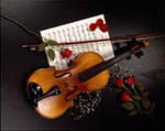 violino